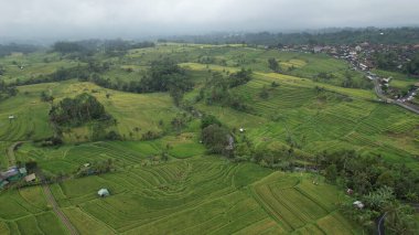 Bali, Endonezya - 11 Kasım 2022: Bali 'nin Turistik Çekim ve Yerleşkeleri