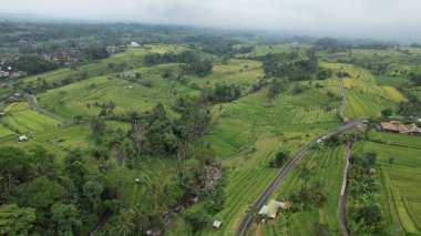 Bali, Endonezya - 11 Kasım 2022: Bali 'nin Turistik Çekim ve Yerleşkeleri