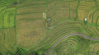 Bali, Endonezya - 11 Kasım 2022: Bali 'nin Turistik Çekim ve Yerleşkeleri