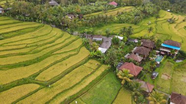 Bali, Endonezya - 11 Kasım 2022: Bali 'nin Turistik Çekim ve Yerleşkeleri