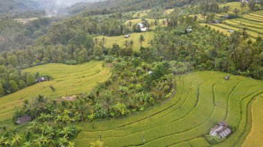 Bali, Endonezya - 11 Kasım 2022: Bali 'nin Turistik Çekim ve Yerleşkeleri