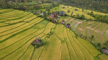 Bali, Endonezya - 11 Kasım 2022: Bali 'nin Turistik Çekim ve Yerleşkeleri