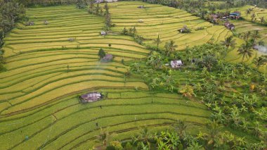 Bali, Endonezya - 11 Kasım 2022: Bali 'nin Turistik Çekim ve Yerleşkeleri