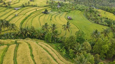 Bali, Endonezya - 11 Kasım 2022: Bali 'nin Turistik Çekim ve Yerleşkeleri