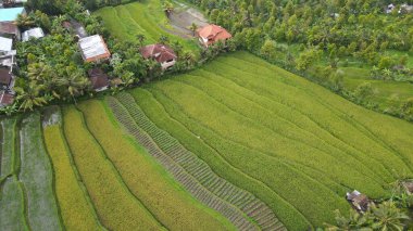 Bali, Endonezya - 11 Kasım 2022: Bali 'nin Turistik Çekim ve Yerleşkeleri