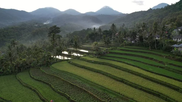 Bali, Endonezya - 11 Kasım 2022: Bali 'nin Turistik Çekim ve Yerleşkeleri