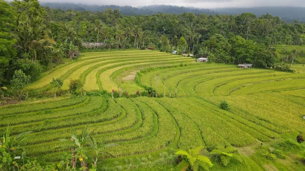 Bali, Endonezya - 11 Kasım 2022: Bali 'nin Turistik Çekim ve Yerleşkeleri