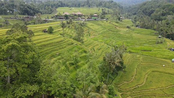 Bali Indonesien November 2022 Turistsevärdheter Och Landmärken Bali — Stockfoto