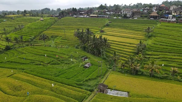 Bali Endonezya Kasım 2022 Bali Nin Turistik Çekim Yerleşkeleri — Stok fotoğraf