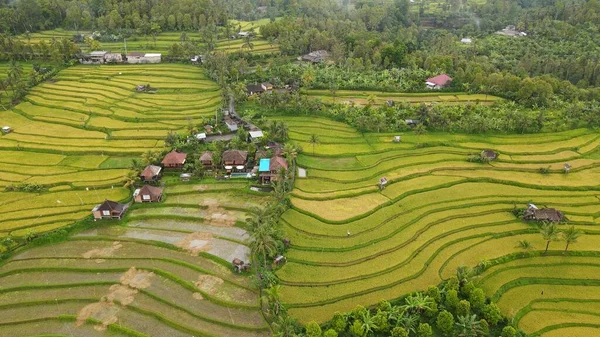 Bali Indonesia November 2022 Atraksi Turis Dan Markah Tanah Bali — Stok Foto