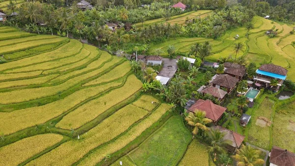 Bali, Endonezya - 11 Kasım 2022: Bali 'nin Turistik Çekim ve Yerleşkeleri