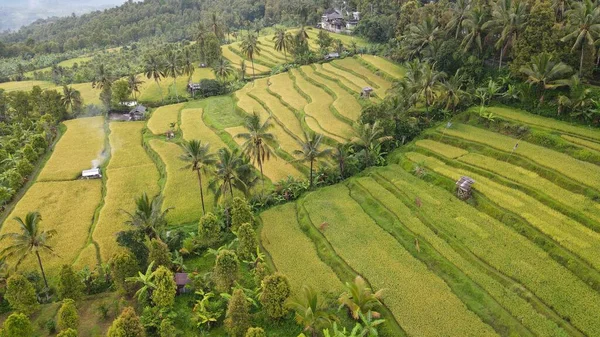 Бали Индонезия Ноября 2022 Года Туристические Достопримечательности Достопримечательности Бали — стоковое фото