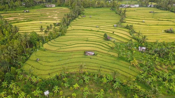 Bali Indonesia November 2022 Atraksi Turis Dan Markah Tanah Bali — Stok Foto