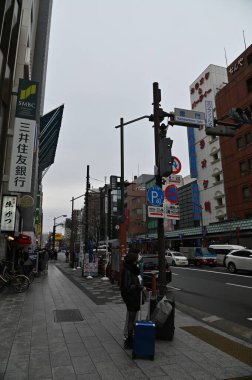 Tokyo, Japonya - 13 Aralık 2022: Sonbahar Sezonu