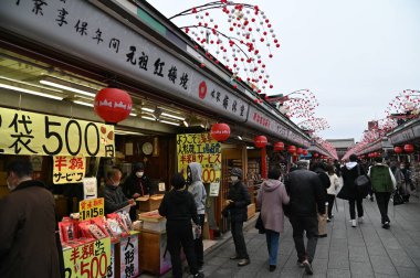 Tokyo, Japonya - 13 Aralık 2022: Sonbahar Sezonu
