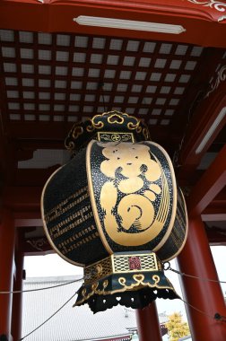 Tokyo, Japonya - 13 Aralık 2022: Sonbahar Sezonu