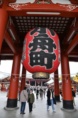 Tokyo, Japonya - 13 Aralık 2022: Sonbahar Sezonu