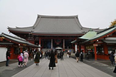 Tokyo, Japonya - 13 Aralık 2022: Sonbahar Sezonu