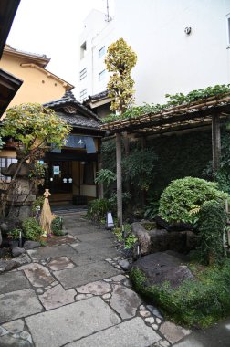 Tokyo, Japonya - 13 Aralık 2022: Sonbahar Sezonu