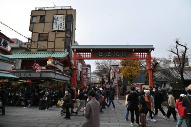 Tokyo, Japonya - 13 Aralık 2022: Sonbahar Sezonu