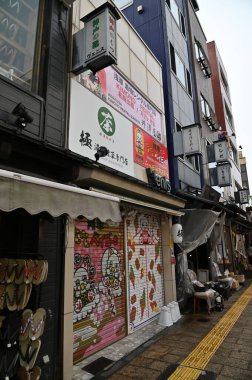 Tokyo, Japonya - 13 Aralık 2022: Sonbahar Sezonu