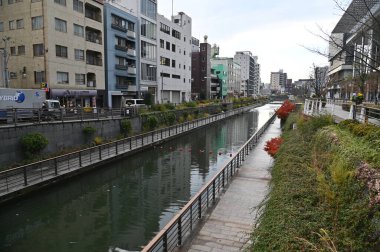 Tokyo, Japonya - 13 Aralık 2022: Sonbahar Sezonu