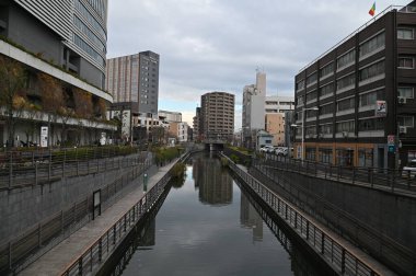 Tokyo, Japonya - 13 Aralık 2022: Sonbahar Sezonu