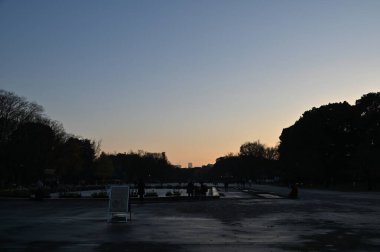 Tokyo, Japonya - 13 Aralık 2022: Sonbahar Sezonu