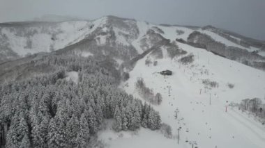 Niseko, Japonya - 15 Aralık 2022: Niseko Hokkaido Kış Sezonu