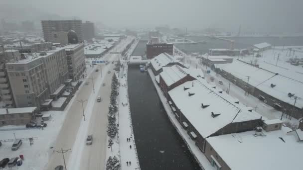 Otaru Japonya Aralık 2022 Otaru Kış Sezonu — Stok video