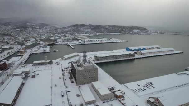 Otaru Japonia Grudnia 2022 Otaru Sezonie Zimowym — Wideo stockowe