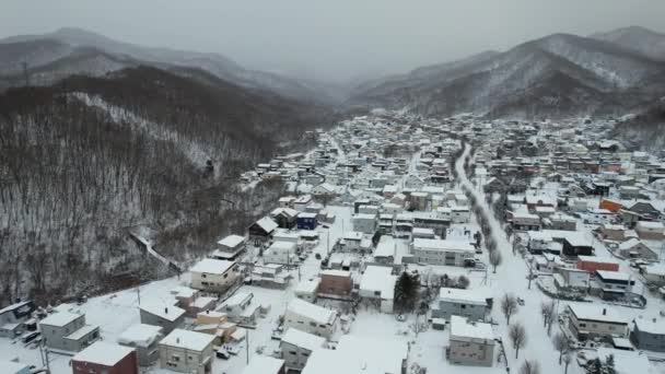 Otaru Japonsko Prosince 2022 Otaru Během Zimní Sezóny — Stock video