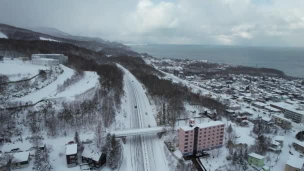 Otaru Japão Dezembro 2022 Otaru Durante Temporada Inverno — Vídeo de Stock
