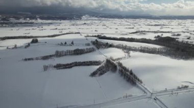 Furano, Japonya - 19 Aralık 2022: Furano ve Biei Kış Sezonu