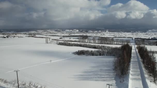 Furano Japan December 2022 Furano Biei Winter Season — 비디오