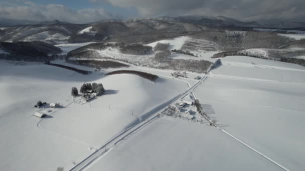 Furano Japón Diciembre 2022 Furano Biei Durante Temporada Invierno — Vídeo de stock