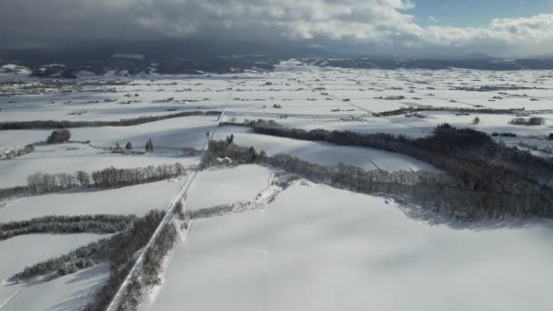 Furano Japan December 2022 Furano Biei Winter Season — Stock Video