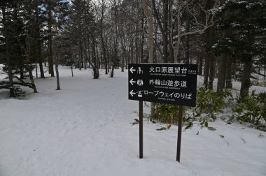 Hokkaido, Japonya - 15 Aralık 2022: Toya Gölü Kış Mevsimi