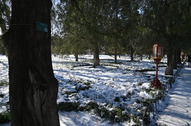 Pekin, Çin - 19 Aralık 2023: Kışın Pekin Sahnesi