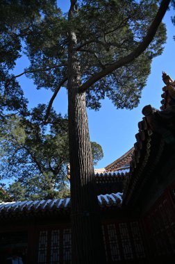 Pekin, Çin - 19 Aralık 2023: Kışın Pekin Sahnesi