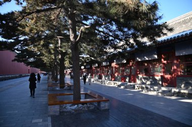 Pekin, Çin - 19 Aralık 2023: Kışın Pekin Sahnesi