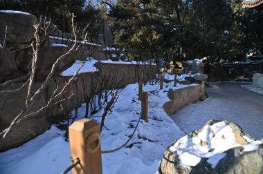 Pekin, Çin - 19 Aralık 2023: Kışın Pekin Sahnesi