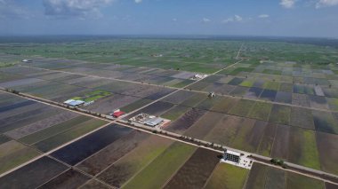 Sekinchan, Malezya 12 Şubat 2024: Sekinchan Köyü ve Pirinç Tarlalarının Havadan Görünümü