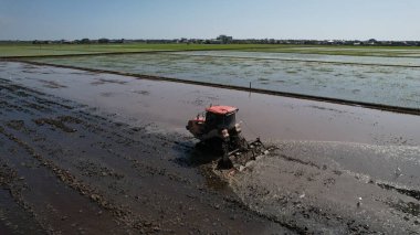 Sekinchan, Malezya 12 Şubat 2024: Sekinchan Köyü ve Pirinç Tarlalarının Havadan Görünümü