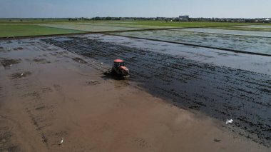 Sekinchan, Malezya 12 Şubat 2024: Sekinchan Köyü ve Pirinç Tarlalarının Havadan Görünümü