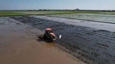Sekinchan, Malezya 12 Şubat 2024: Sekinchan Köyü ve Pirinç Tarlalarının Havadan Görünümü