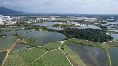 Terk Edilmiş Kampar Tin Madenlerinin Hava Görüntüsü, Perak Malezya