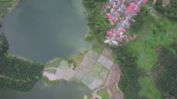 Vista Aérea Las Minas Estaño Abandonadas Kampar Perak Malasia — Vídeos de Stock
