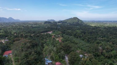 Ipoh, Malezya 'nın Gaharu Çay Vadisi