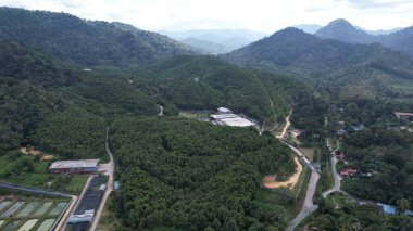 Ipoh, Malezya 'nın Gaharu Çay Vadisi